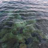 Per tuffarsi cos� da una costa scogliosa, senza sabbia, ma �profumata� e lambita da un�acqua dai riflessi verdi e blu